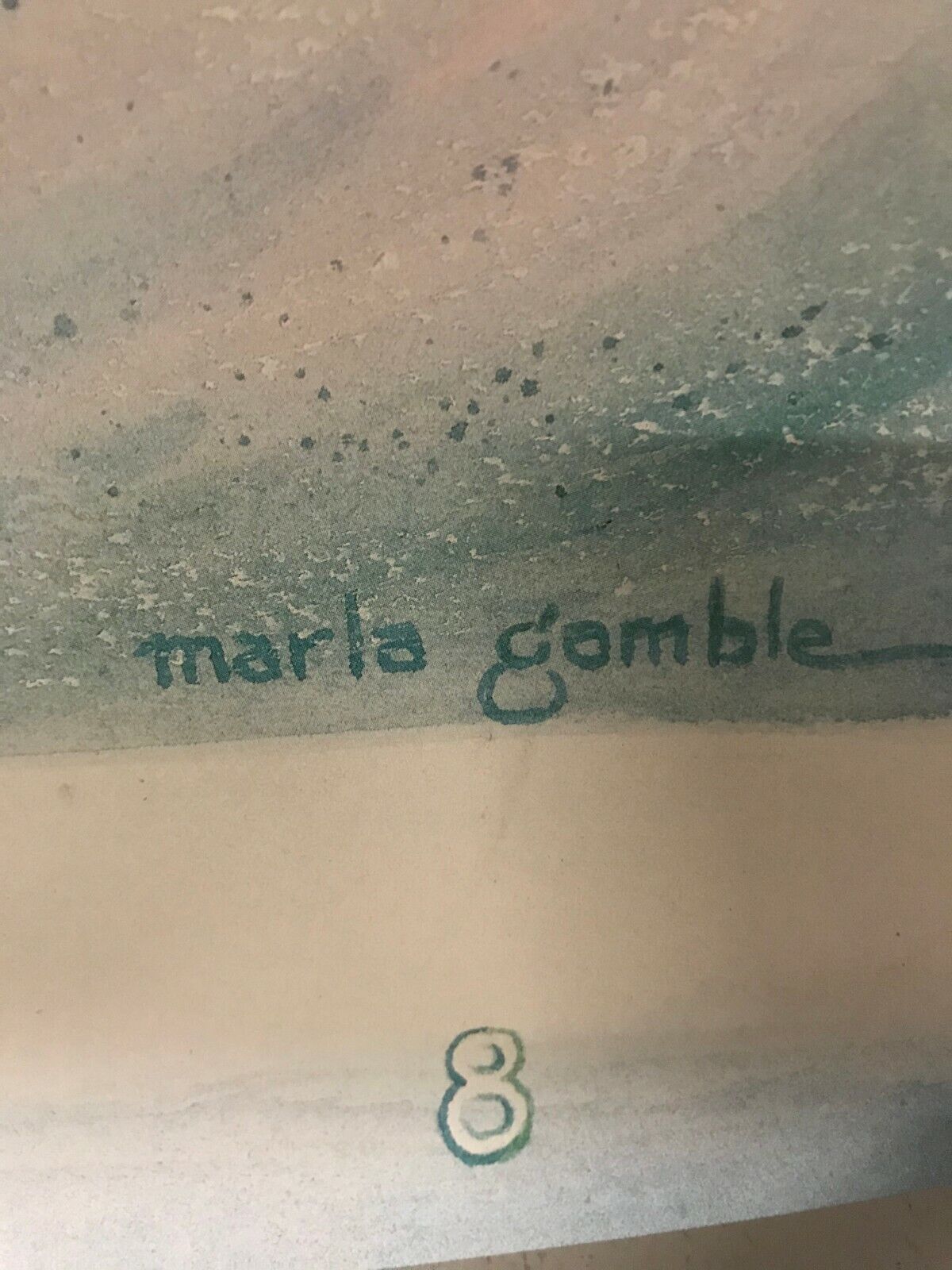 Winter Stars 28x22 Poster Minnesota 1988 NorWest Center St Paul Marla Gamble