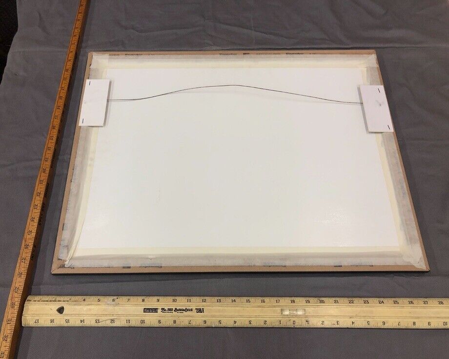 1 OF A KIND Players BRET FAVRE TIGER WOODS & WILT CHAMBERLAIN FRAMED POSTER