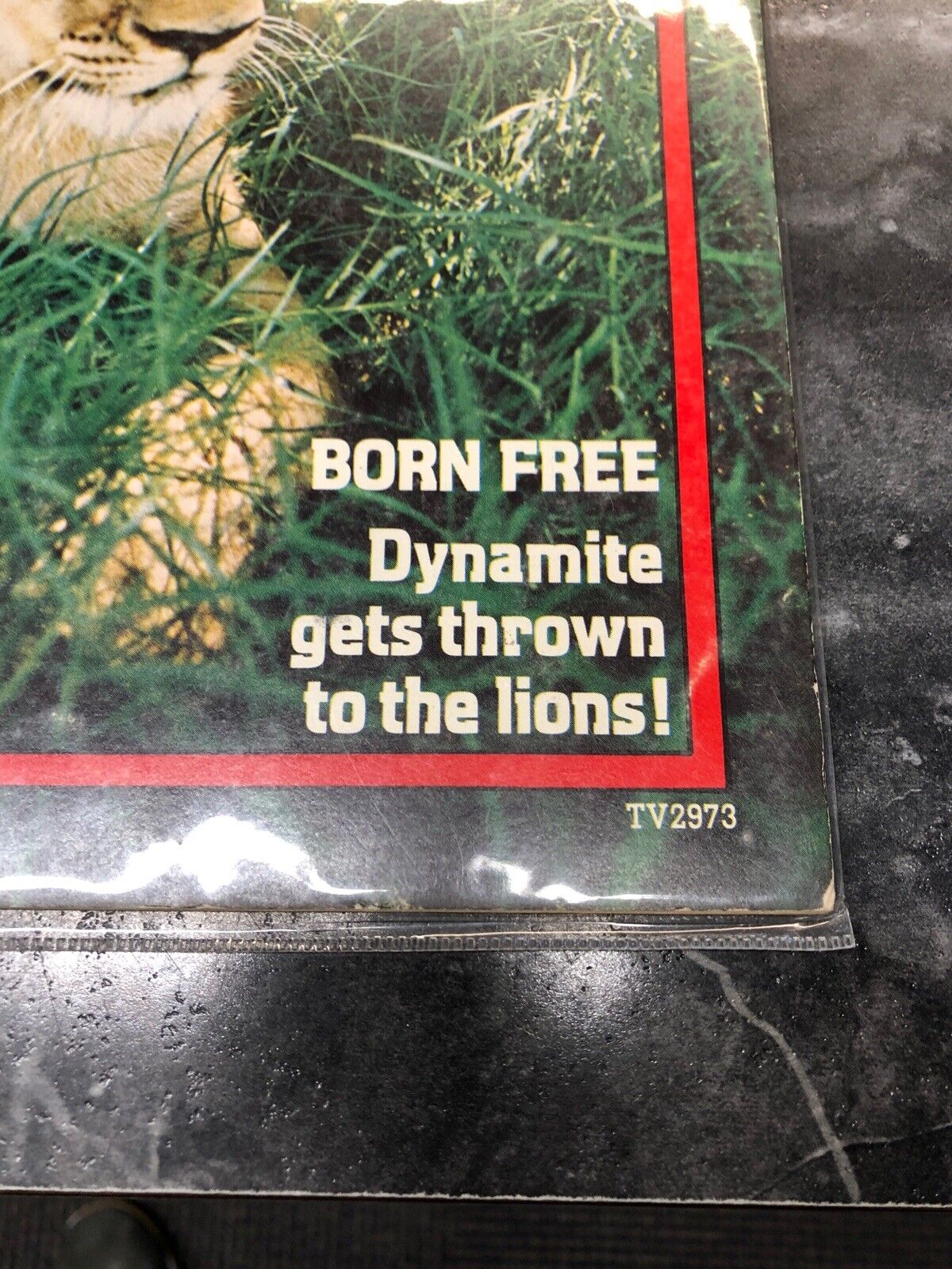 Dynamite Magazine - Lion - 1974 issue #5