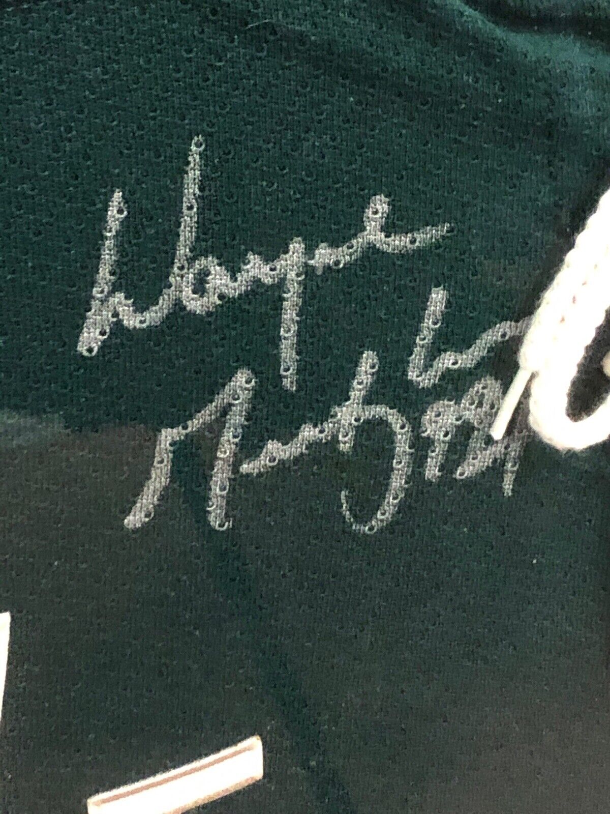 WAYNE GRETZKY Saint Paul Minnesota ALL STAR GAME HOCKEY JERSEY NEW Signed