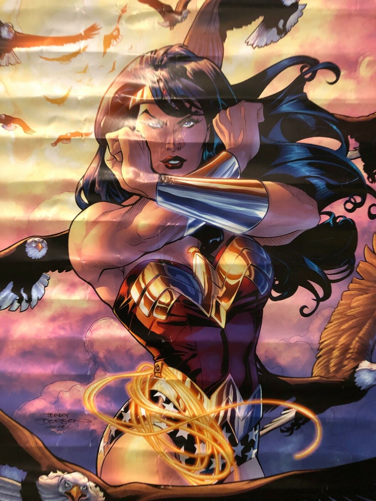 COMIC BOOK POSTER Wonder Woman Battle Stance With Eagles Super Heroes DC 2007