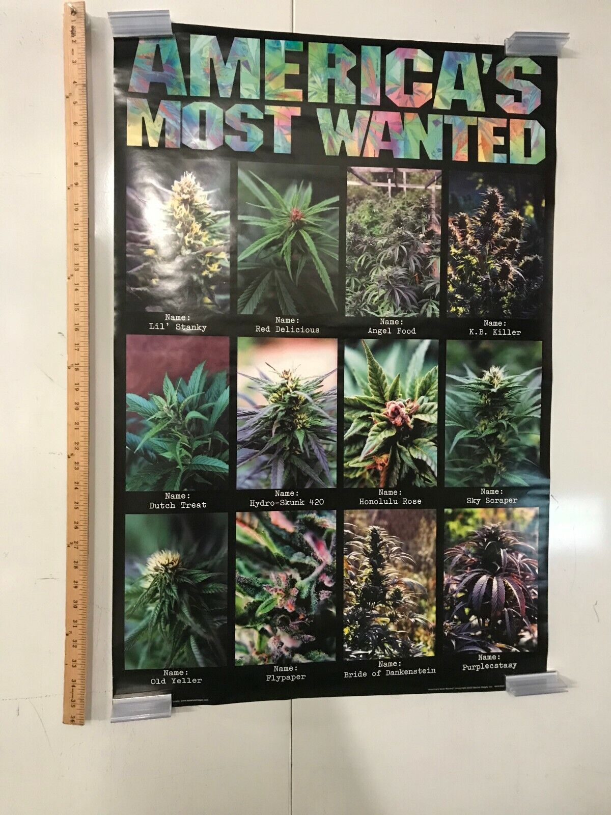 Americas Most Wanted Marijuana Poster 24x36 Comedy Humor Kush Weed Stoner Vibes