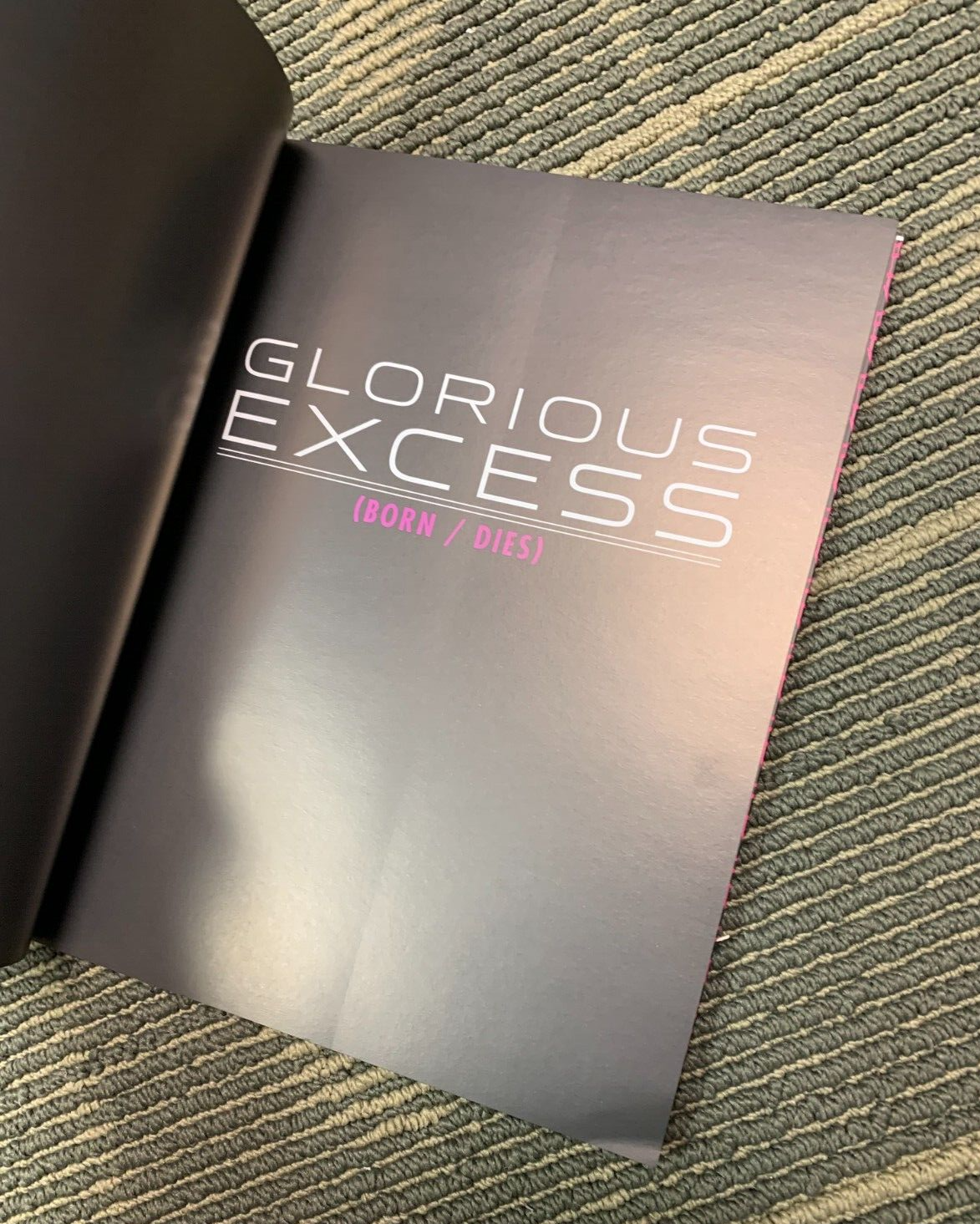 "Glorious Excess" Book By Mike Shinoda SIGNED Linkin Park OBEY 2009