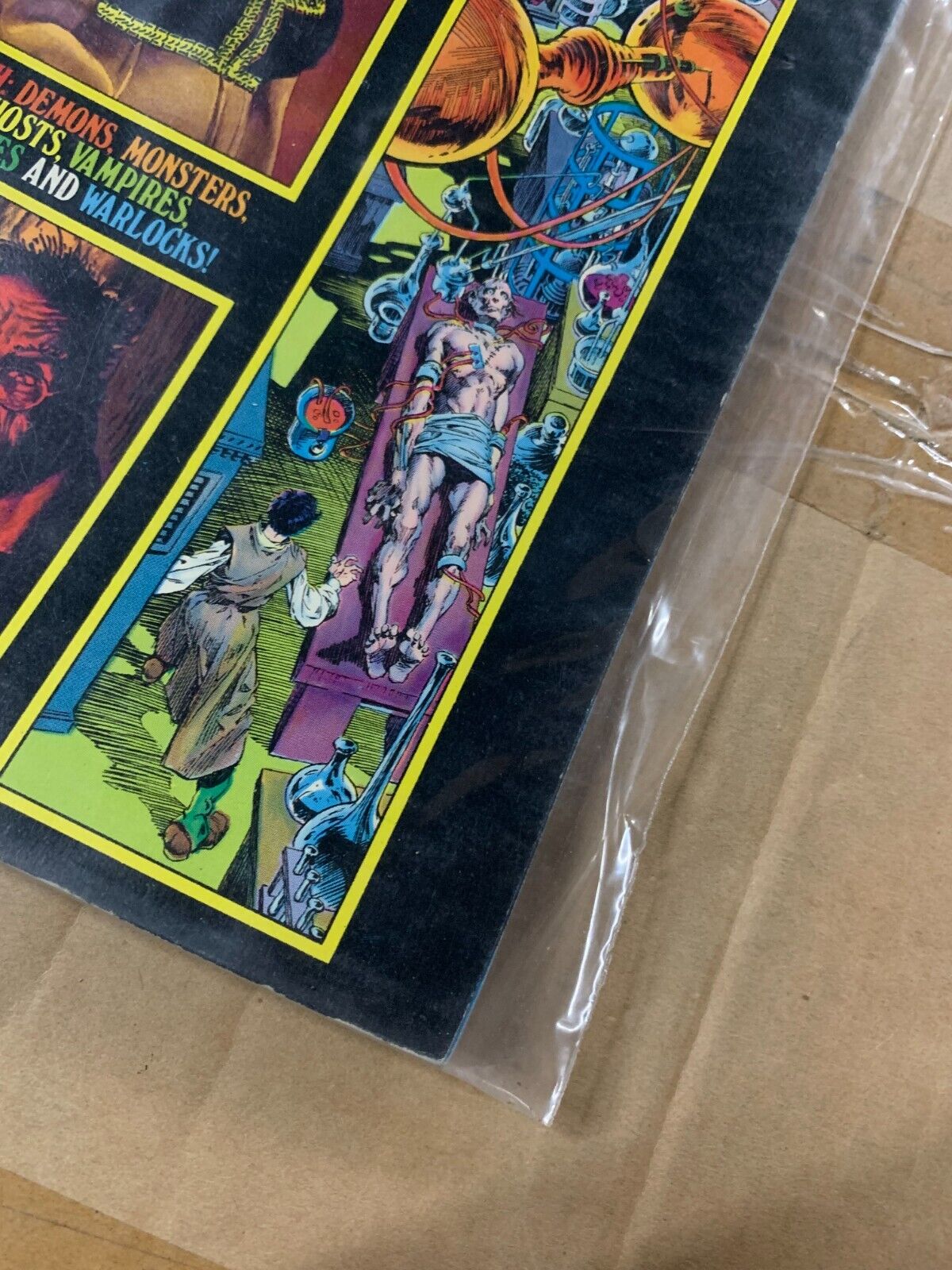 Warren Magazine "Comix International" #2 (1975) Richard Corben Wally Wood
