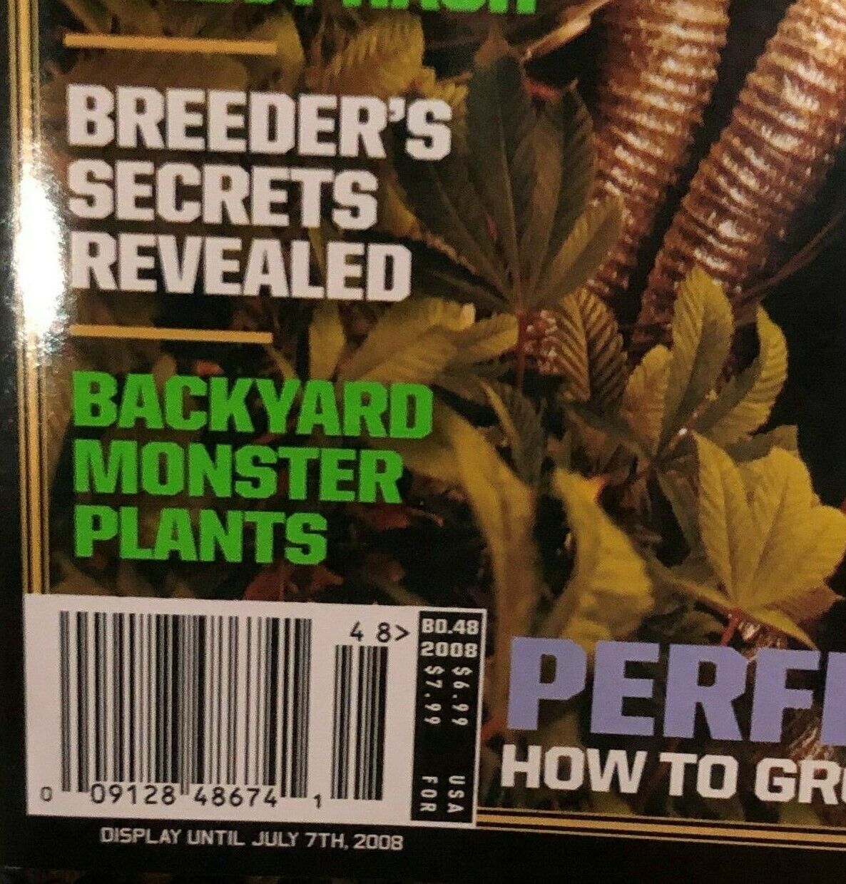 2008 HIGH TIMES GROW JULY 2008 Grow Guide Get Growing Today War On Pot Pets 