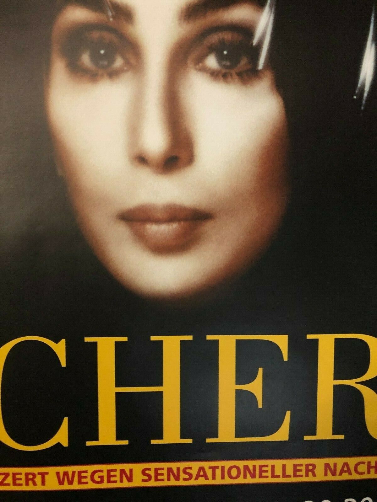 Cher 1999 German Concert Poster In Frankfurt @ Festhalle Classic Pop Dance