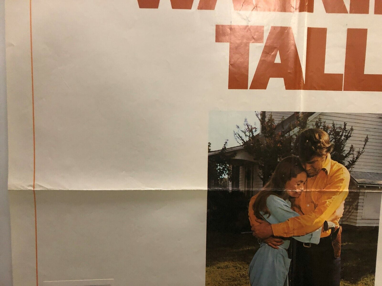 Walking Tall (Cinerama Releasing, 1973). One Sheet (27" X 41"). Style C.