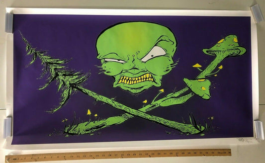 ART POSTER Kater Local Minnesota Artists Green Man Pirate Flag Underground 